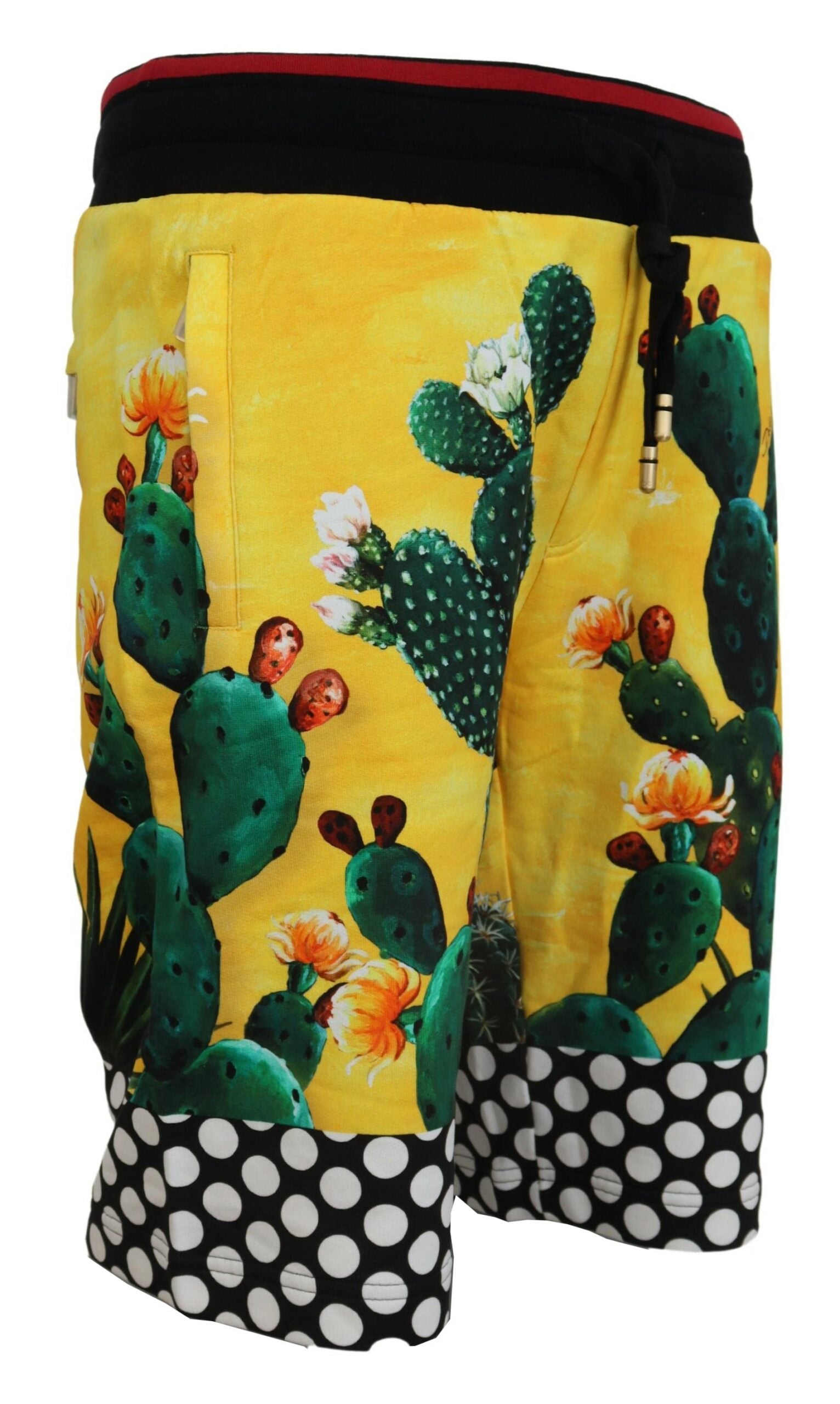 Dolce &amp; Gabbana – Mehrfarbige Sweatshorts mit Kaktus-Print