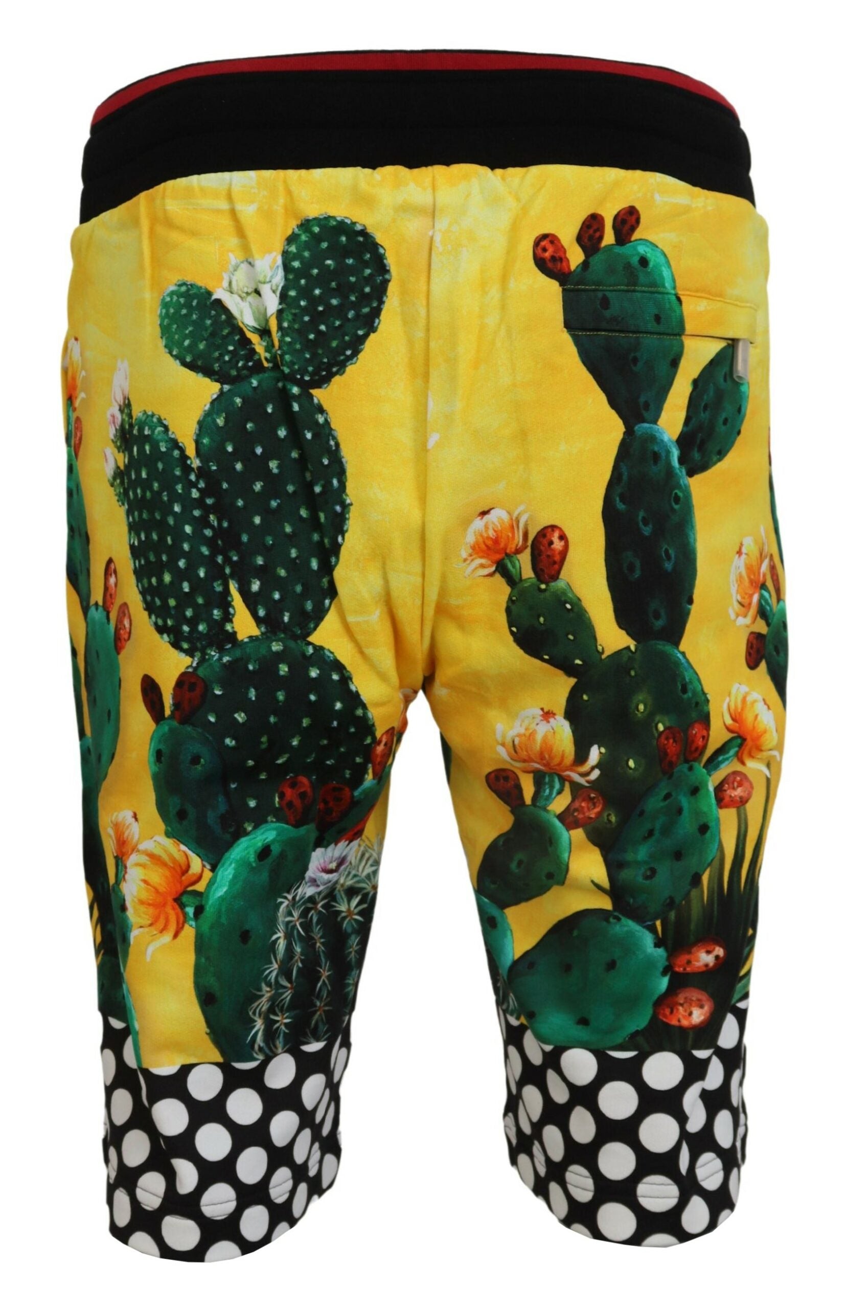 Dolce &amp; Gabbana – Mehrfarbige Sweatshorts mit Kaktus-Print