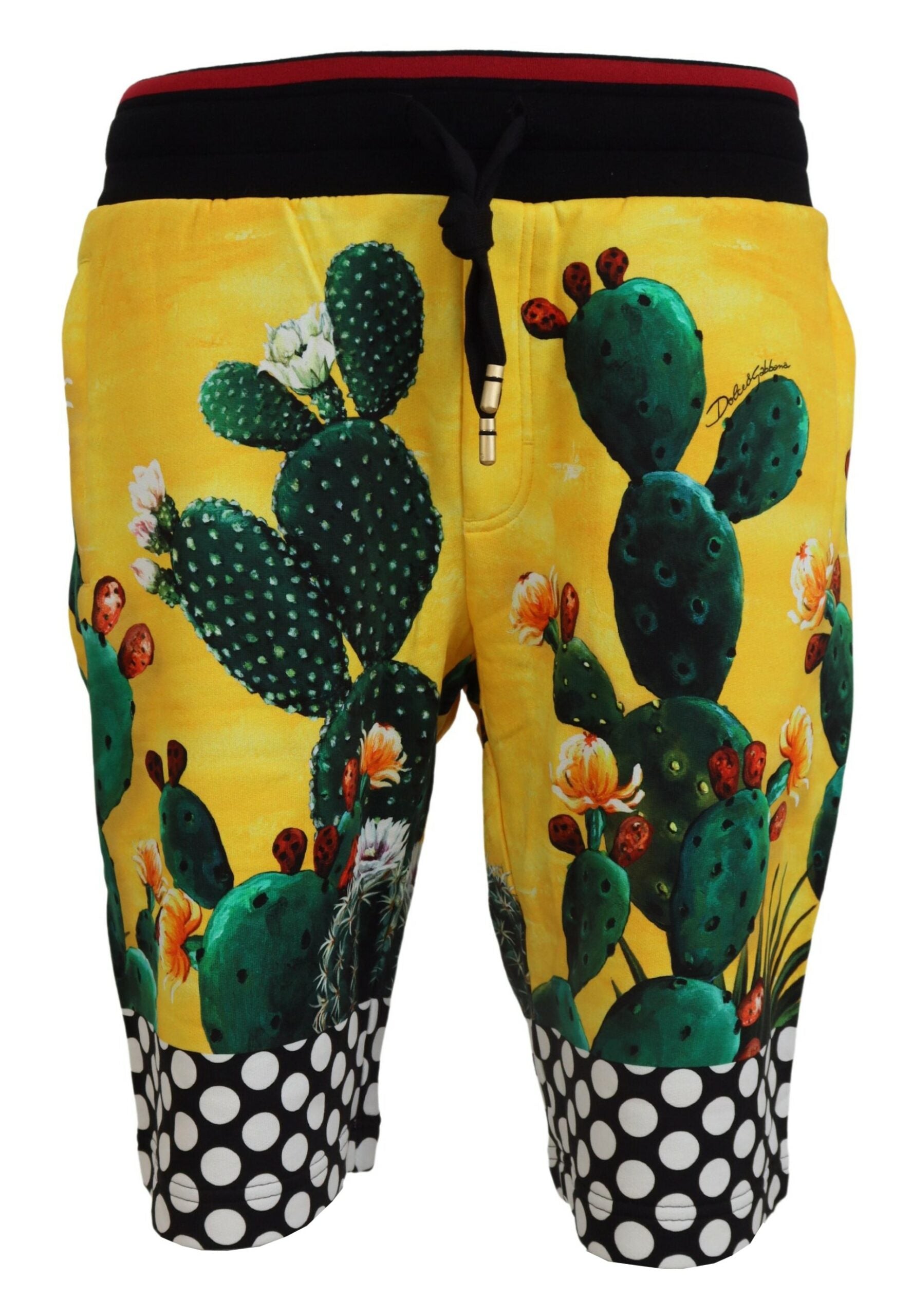 Dolce &amp; Gabbana – Mehrfarbige Sweatshorts mit Kaktus-Print