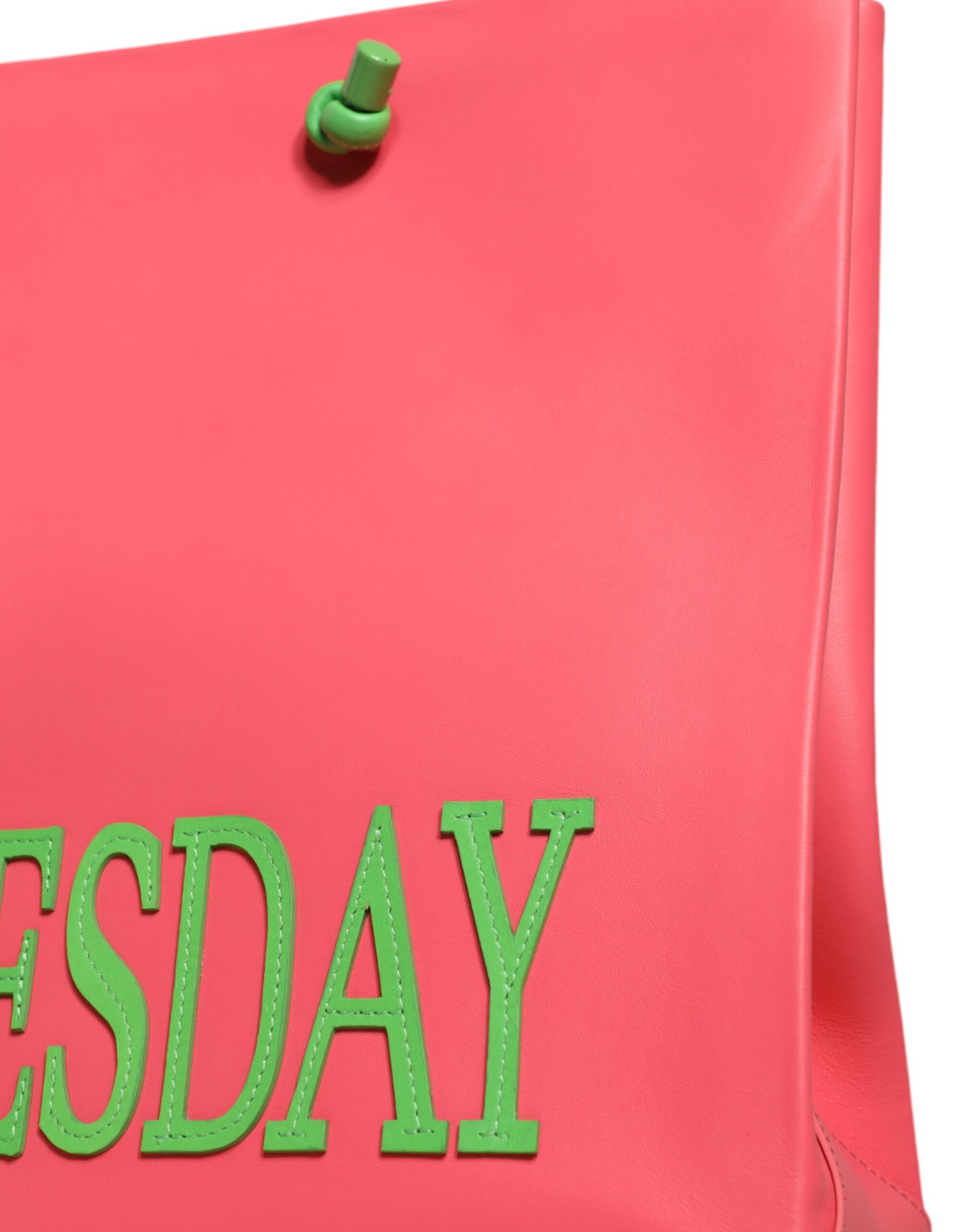 Alberta Ferretti – Weekend Wednesday – Einkaufstasche aus rosa Leder