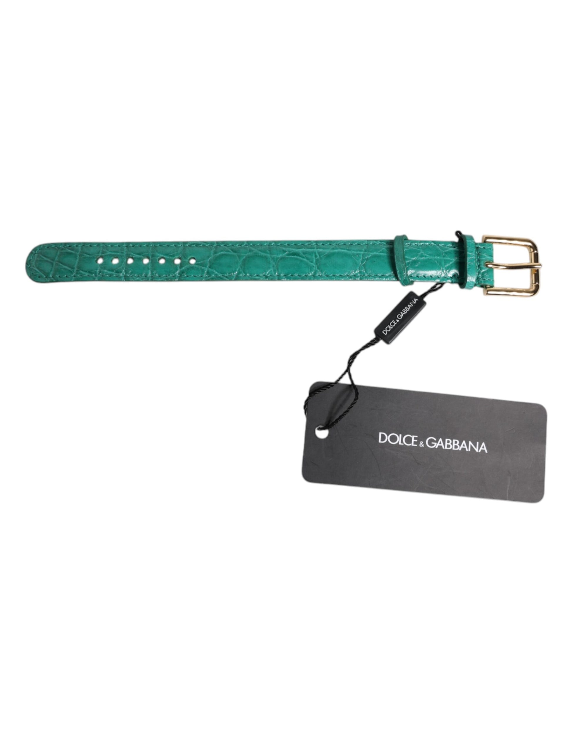 Dolce &amp; Gabbana Armband aus exotischem Leder in Grün mit goldfarbener Metallschnalle
