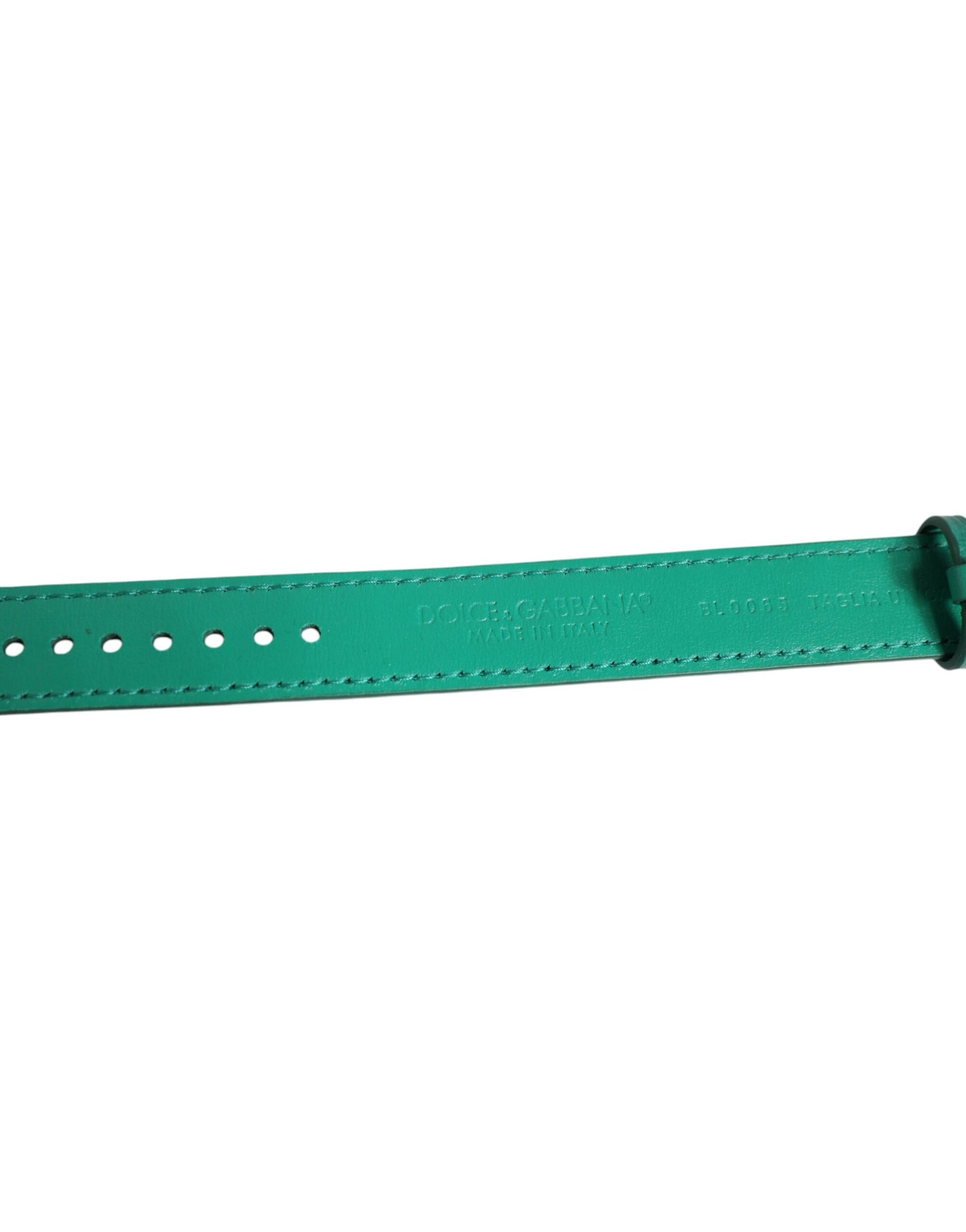 Dolce &amp; Gabbana Armband aus exotischem Leder in Grün mit goldfarbener Metallschnalle
