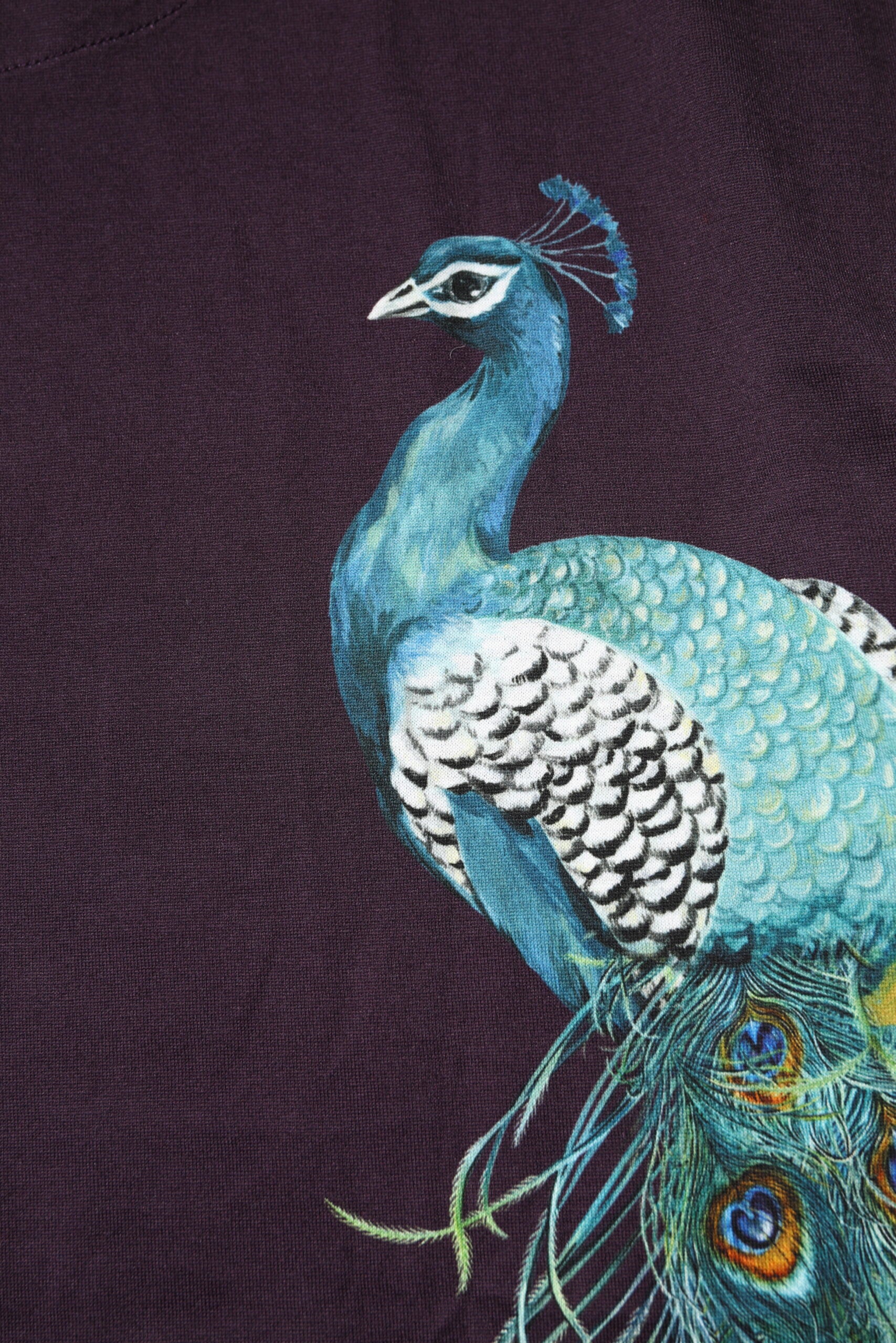 Dolce &amp; Gabbana Schwarzes Baumwoll-T-Shirt mit Rundhalsausschnitt und Pfauendruck