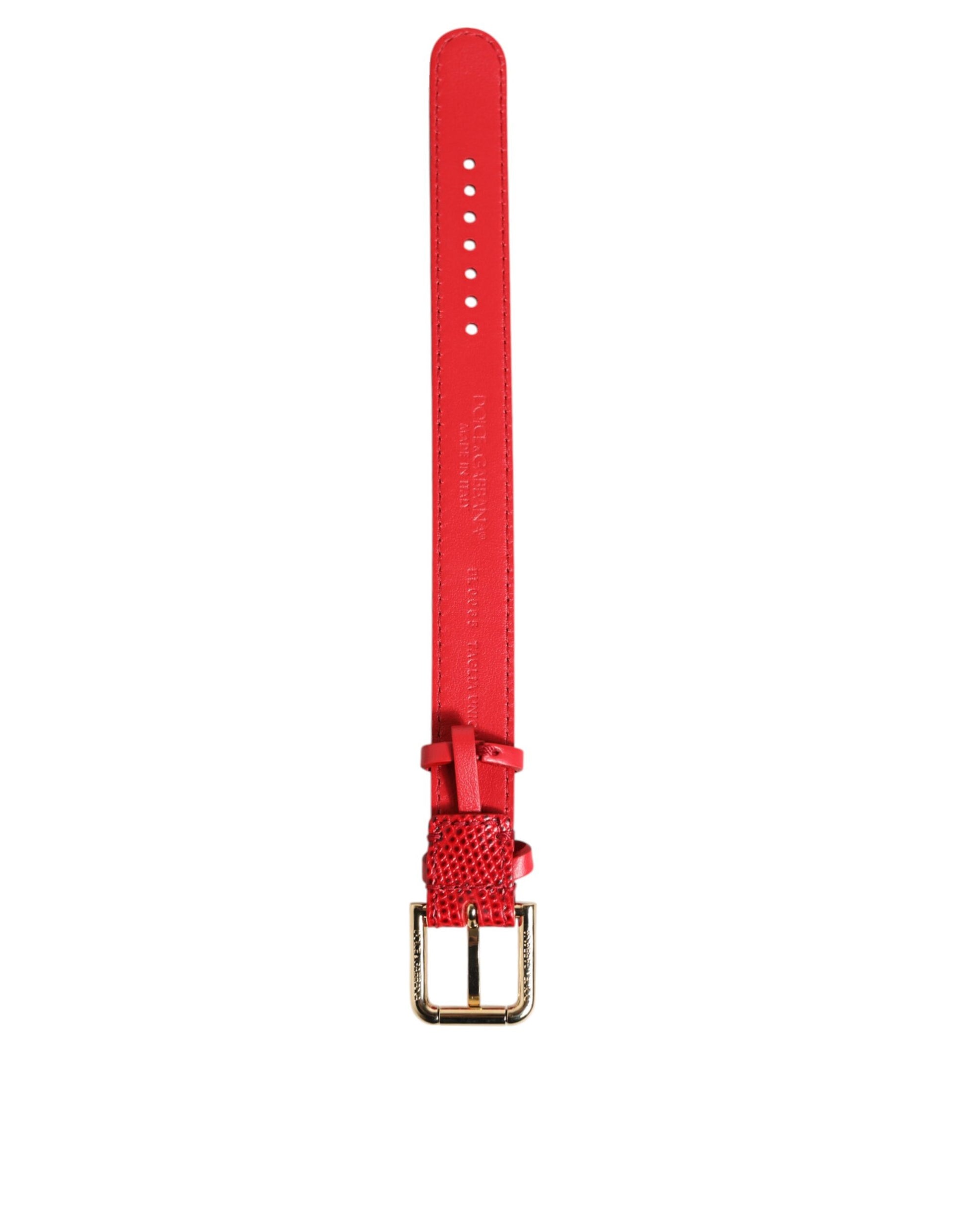 Dolce &amp; Gabbana Damenarmband aus rotem exotischem Leder mit goldfarbener Metallschnalle